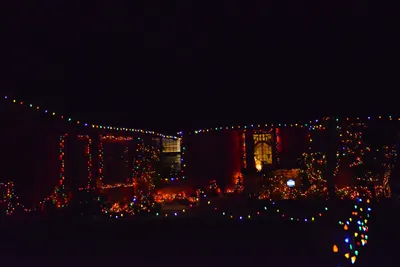 DSC_5808 (Large).JPG